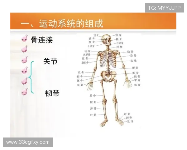ng体育的社交属性：连接人们的运动平台